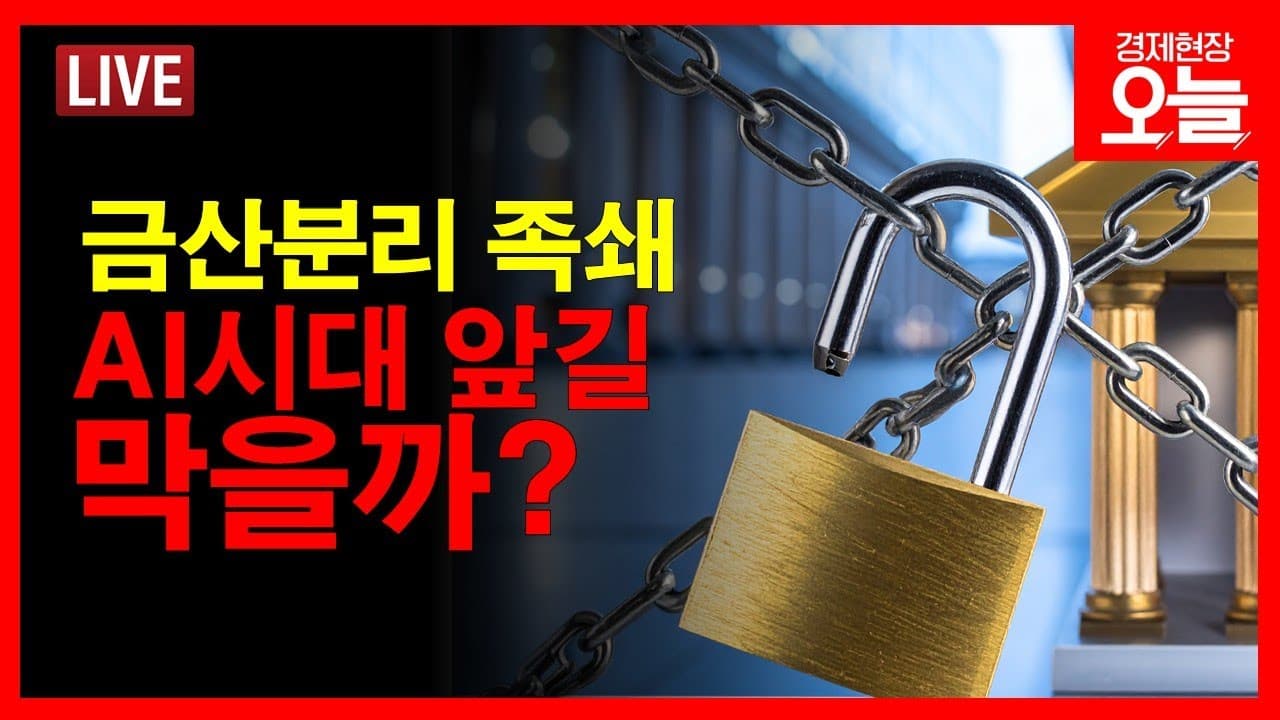 [경제현장 오늘 다시보기] 뜨거운 감자 '금산분리 완화론' 어떻게 봐야